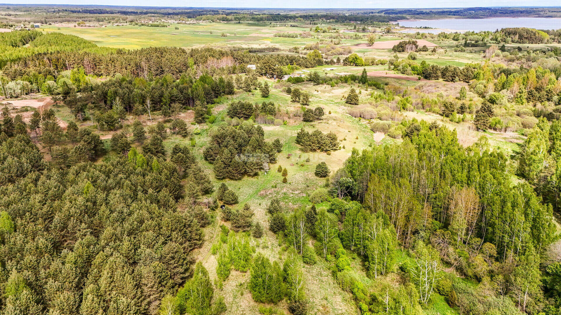 Sklypas Molėtų rajono sav., Grybėnuose – nuotrauka 4