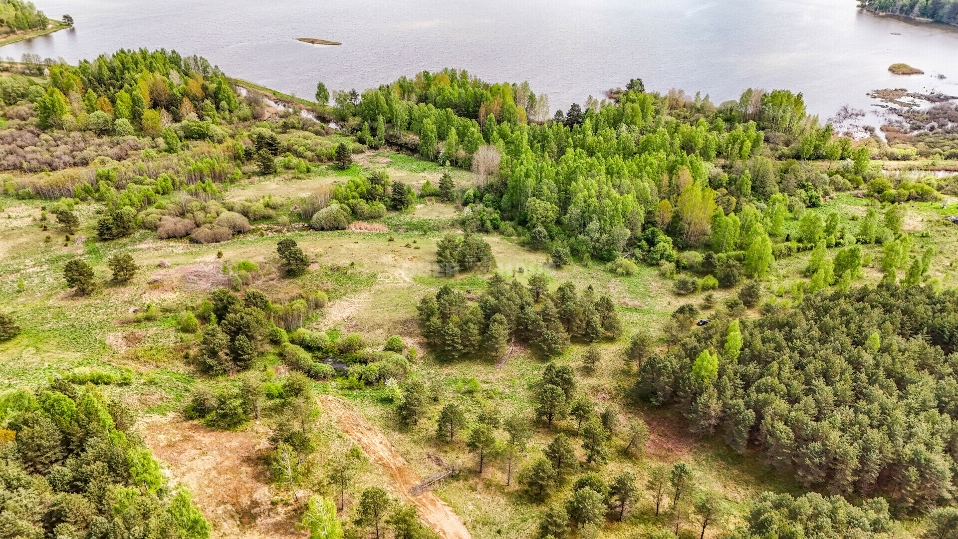 Sklypas Molėtų rajono sav., Grybėnuose – nuotrauka 5