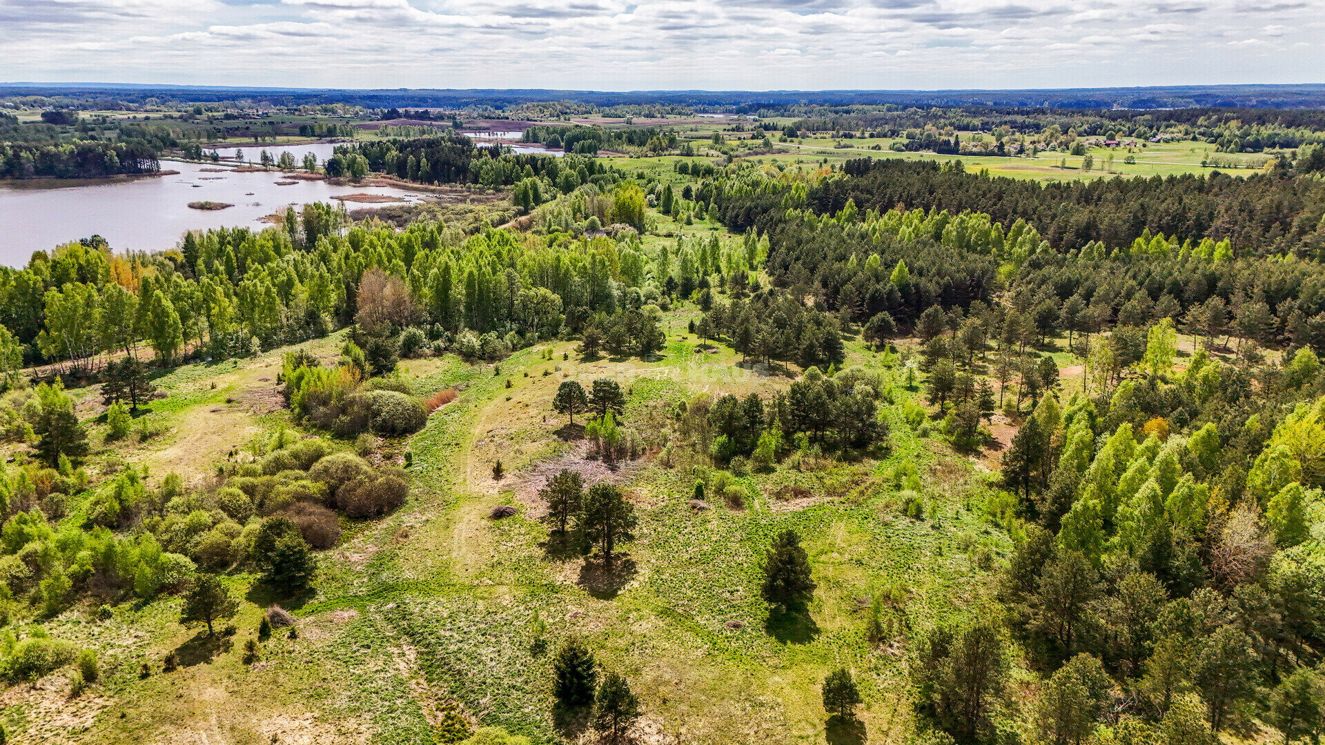Sklypas Molėtų rajono sav., Grybėnuose – nuotrauka 6
