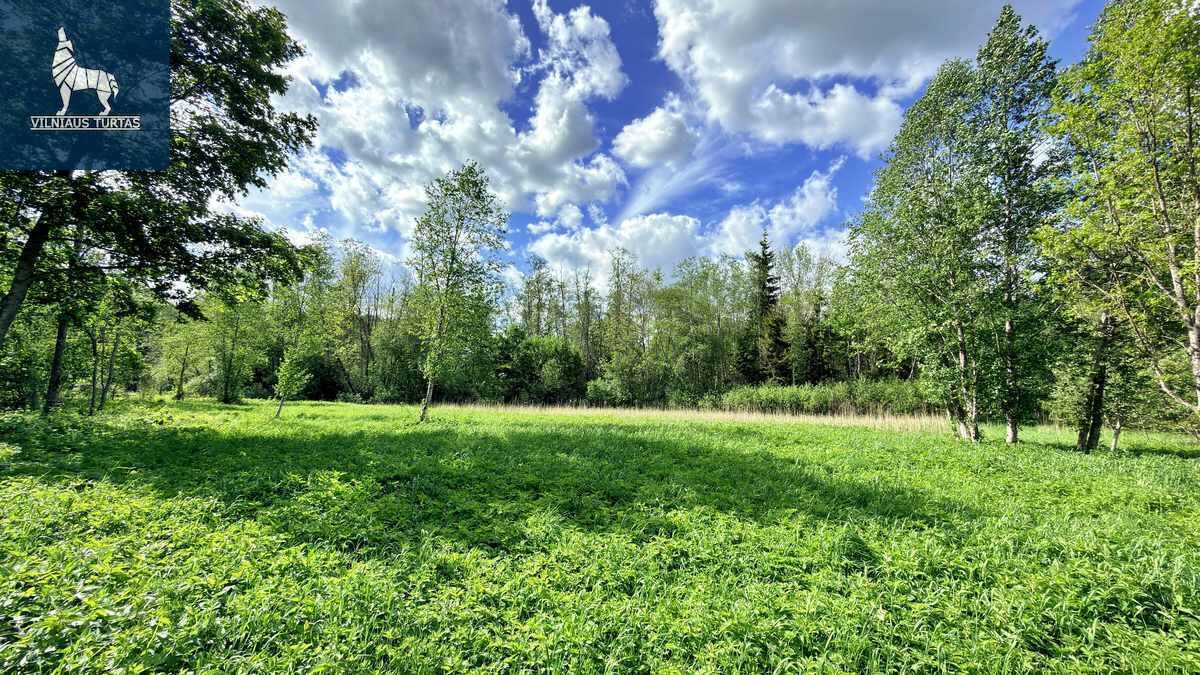 Sklypas Širvintų rajono sav., Navasiolkai II – nuotrauka 3
