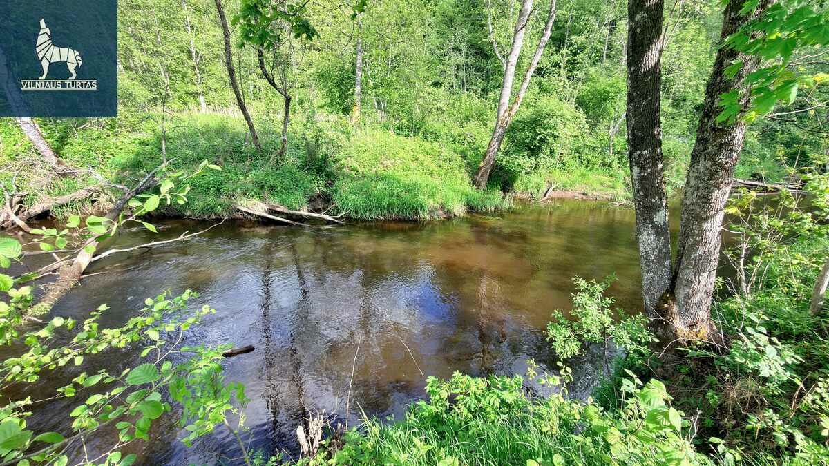 Sklypas Širvintų rajono sav., Navasiolkai II – nuotrauka 4