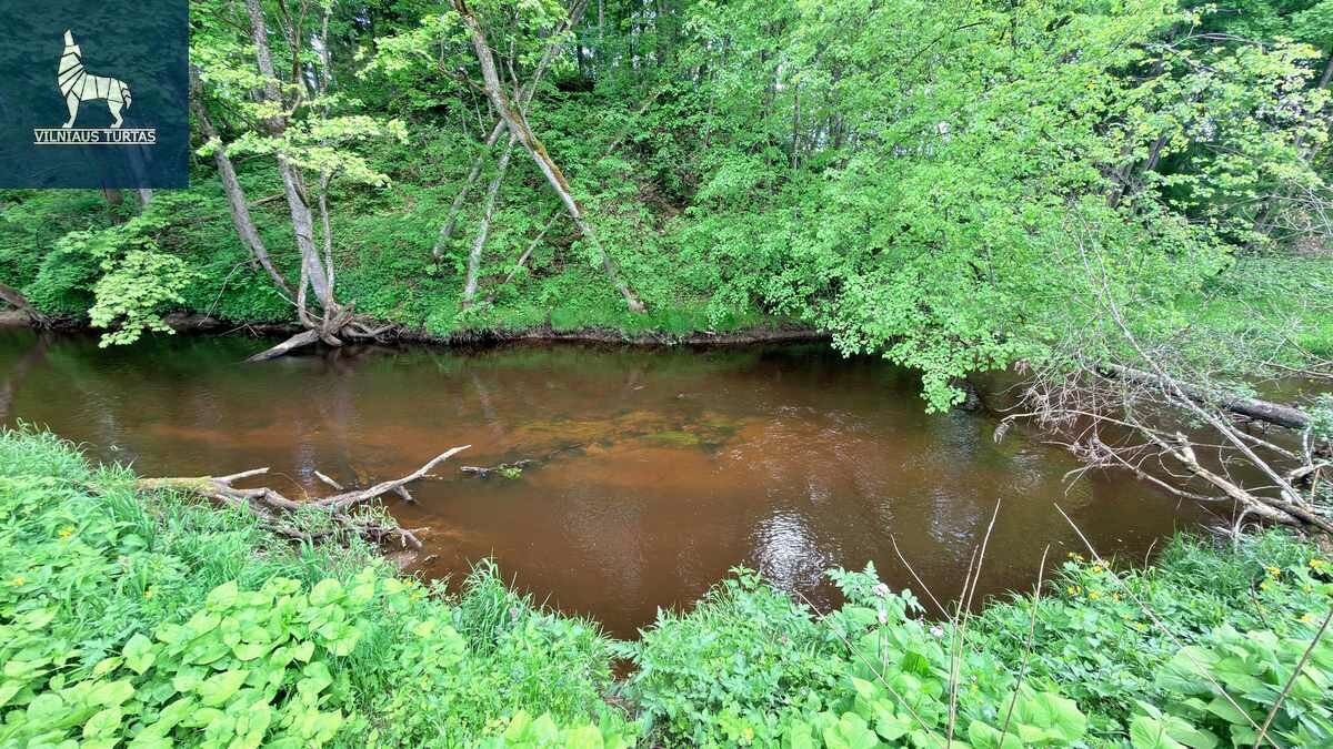 Sklypas Širvintų rajono sav., Navasiolkai II – nuotrauka 6