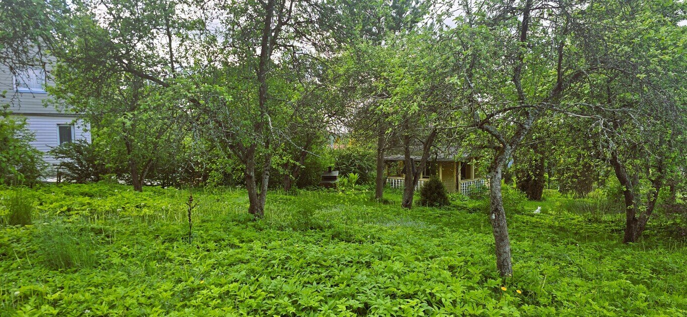 Участок Vilniaus rajono sav. – изображение 3
