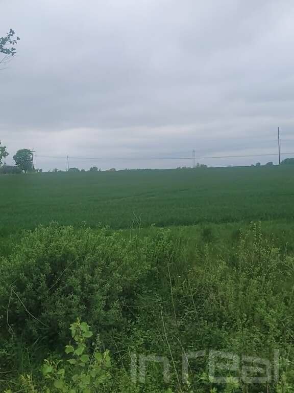 Участок Šiaulių rajono sav., Lieporiuose, Notangos g. – изображение 3