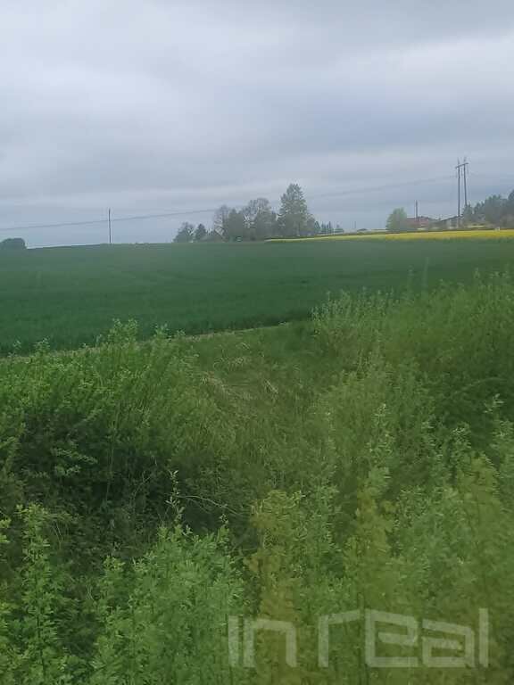 Участок Šiaulių rajono sav., Lieporiuose, Notangos g. – изображение 4