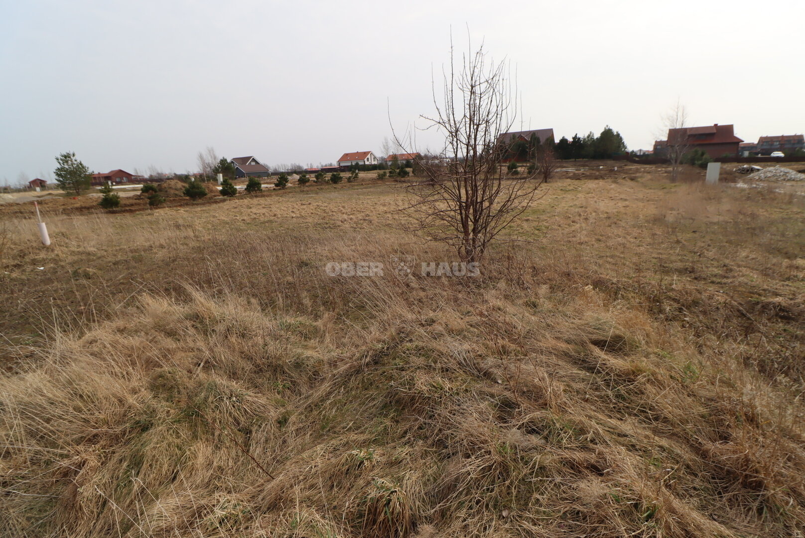 Sklypas Klaipėdos rajono sav., Dargužiuose – nuotrauka 4