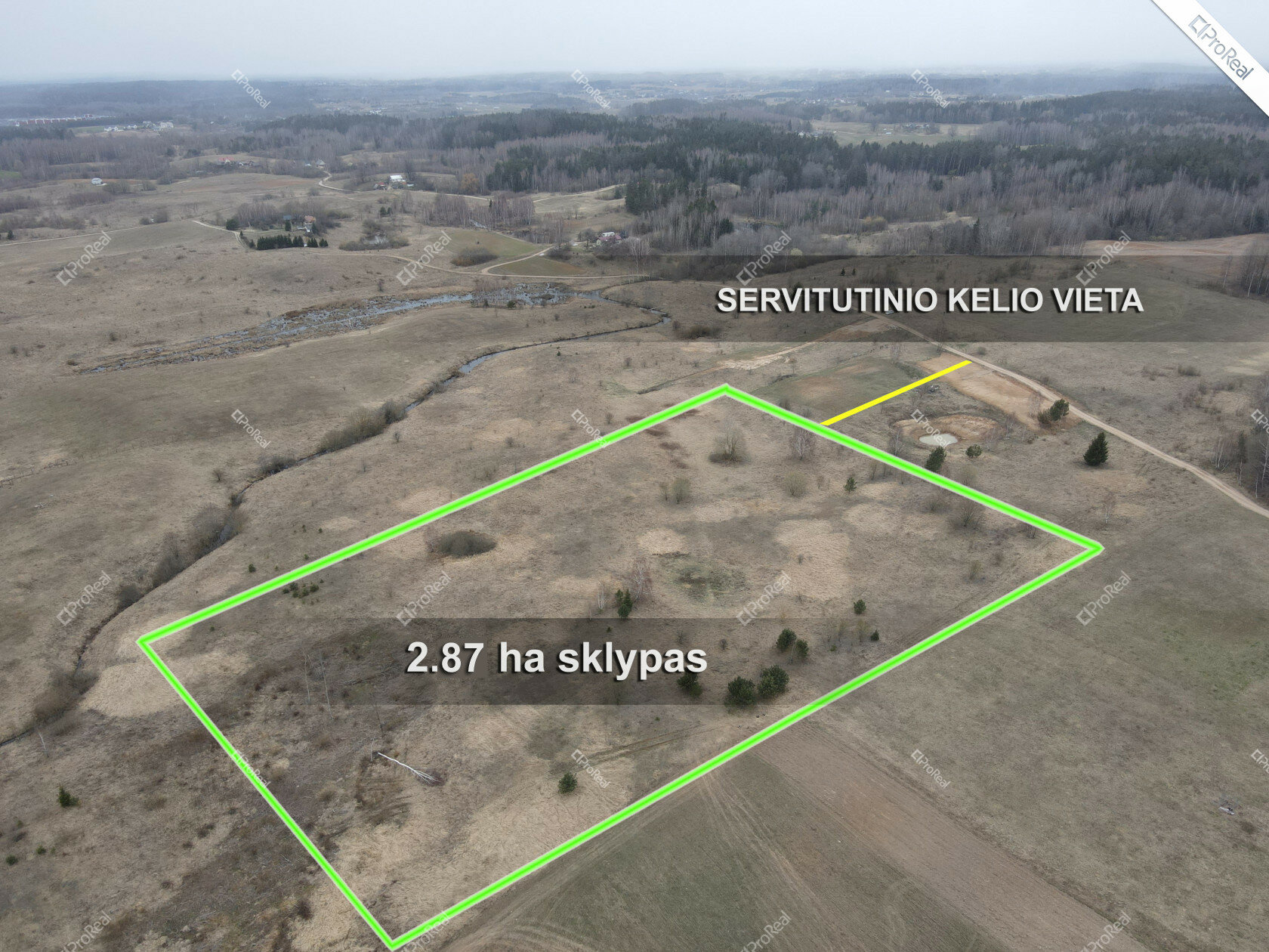 Listing image