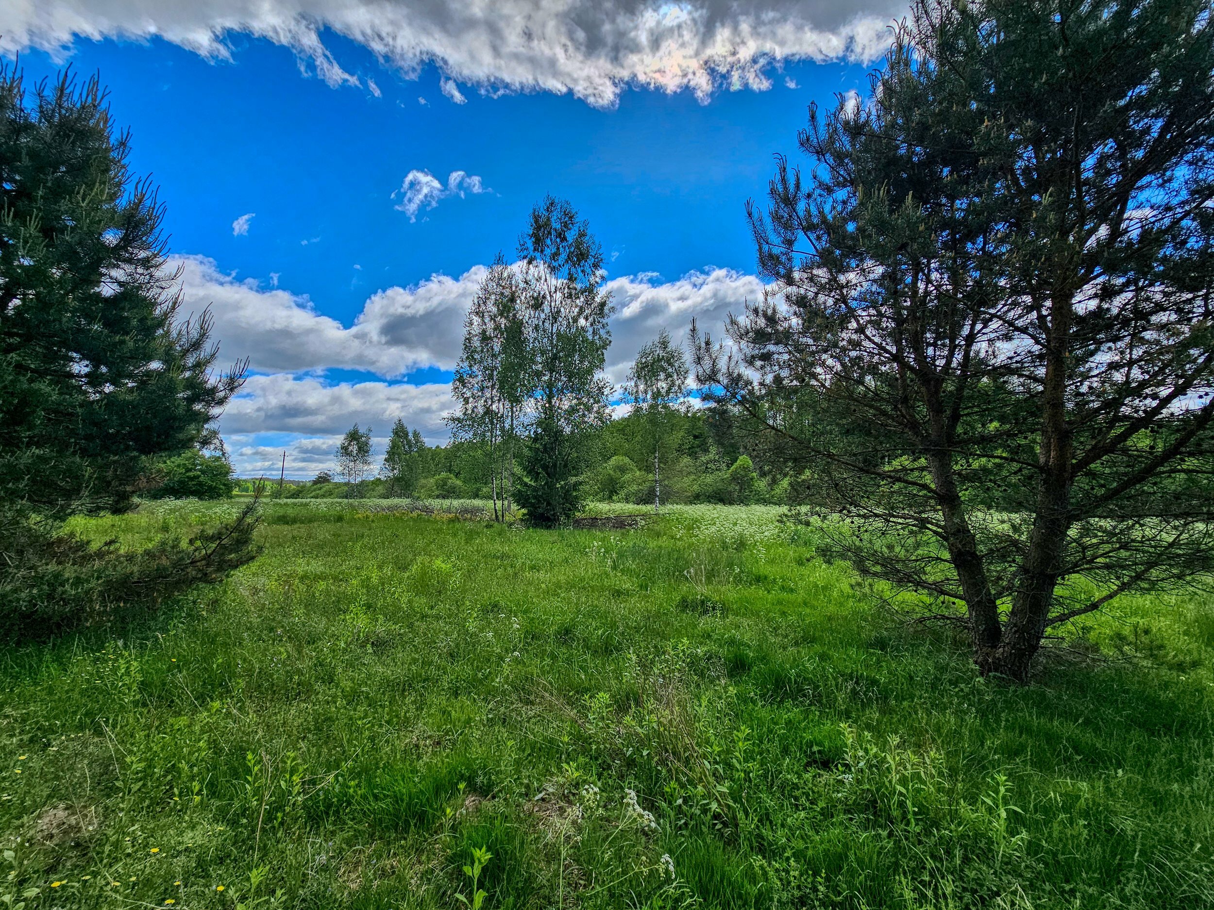 Sklypas Trakų rajono sav., Mamavyje – nuotrauka 3