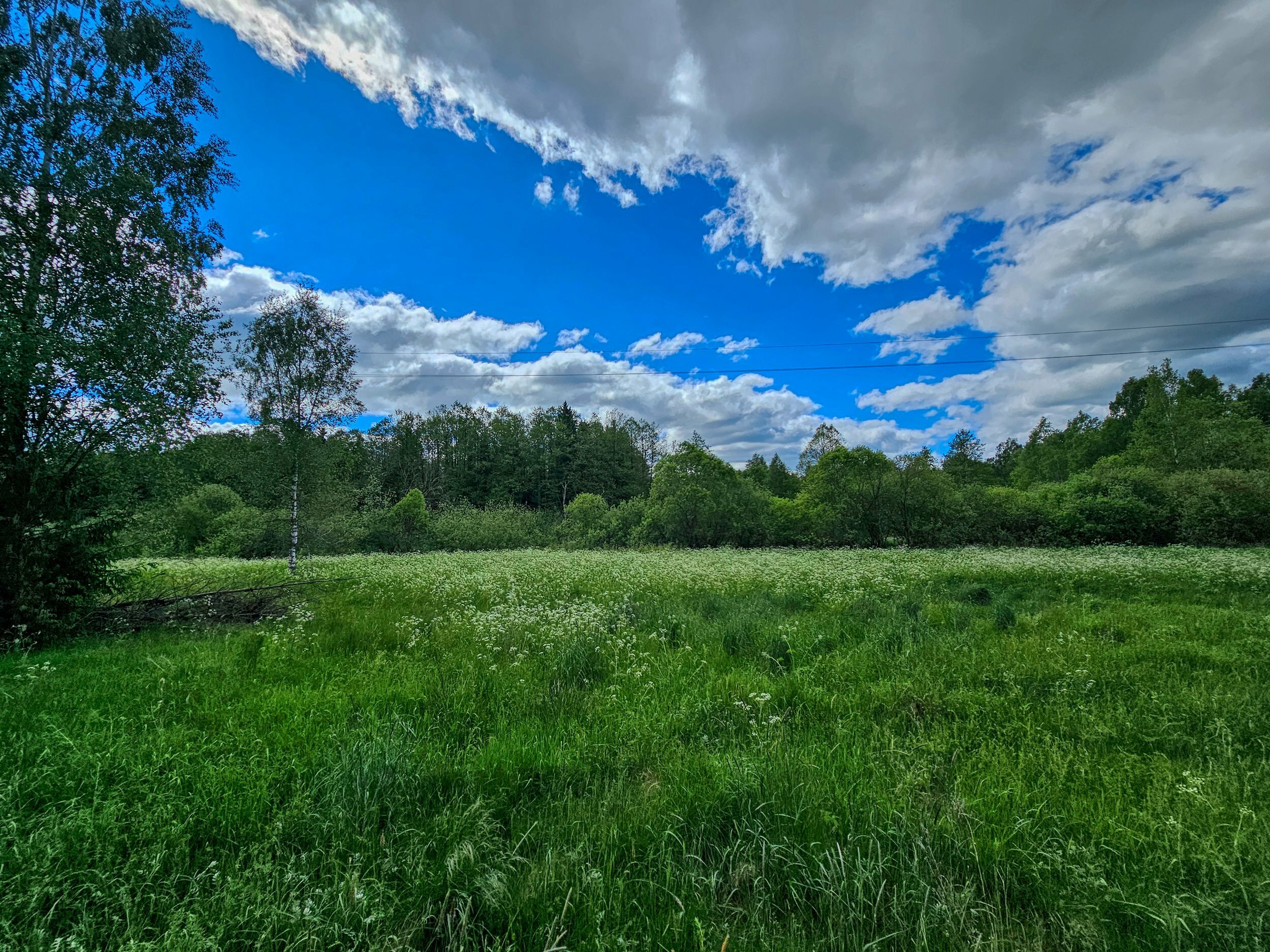 Sklypas Trakų rajono sav., Mamavyje – nuotrauka 4