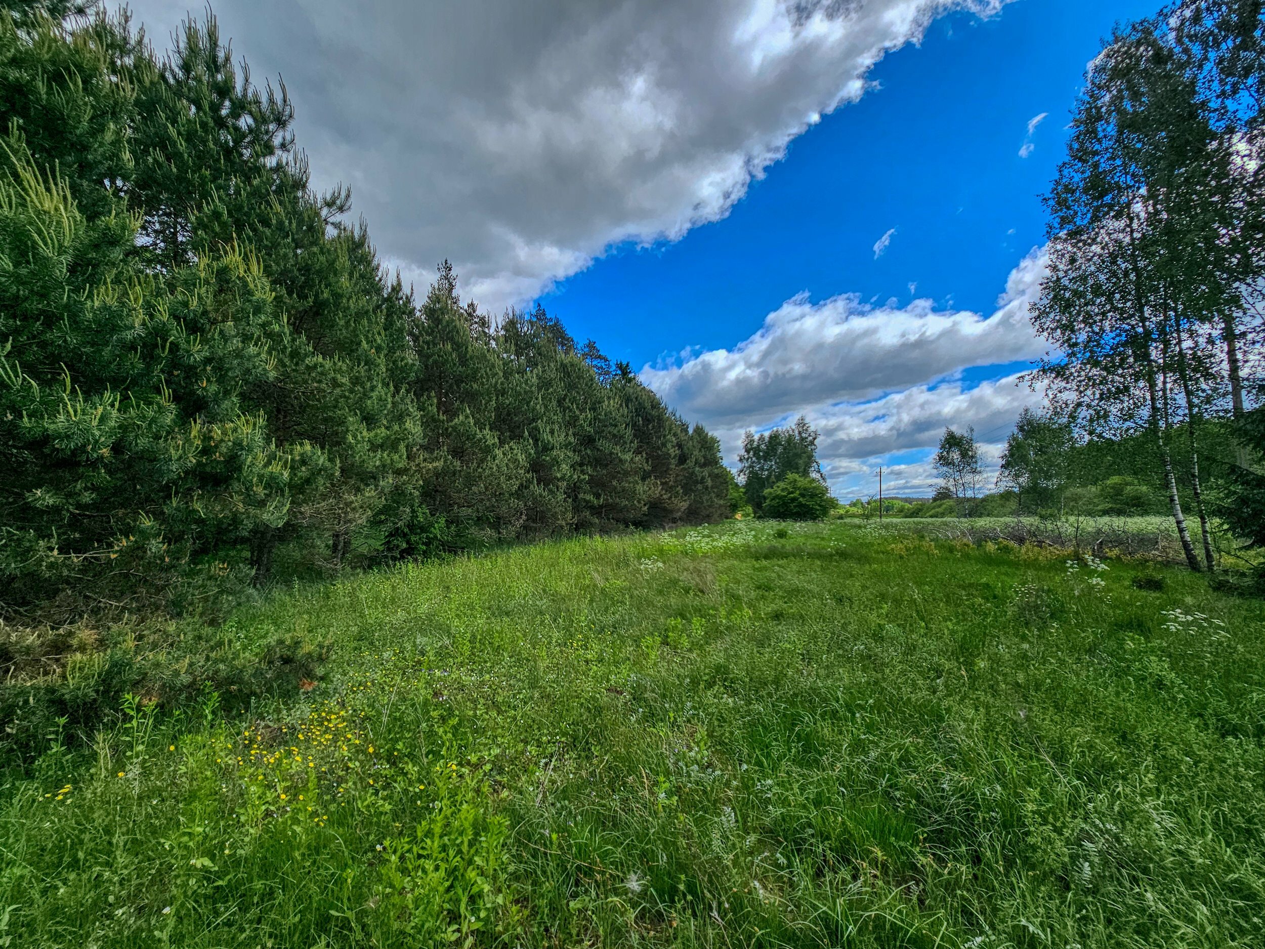 Sklypas Trakų rajono sav., Mamavyje – nuotrauka 5