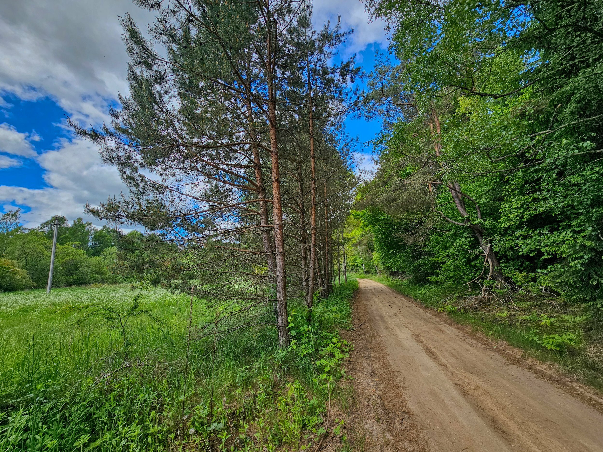 Sklypas Trakų rajono sav., Mamavyje – nuotrauka 6