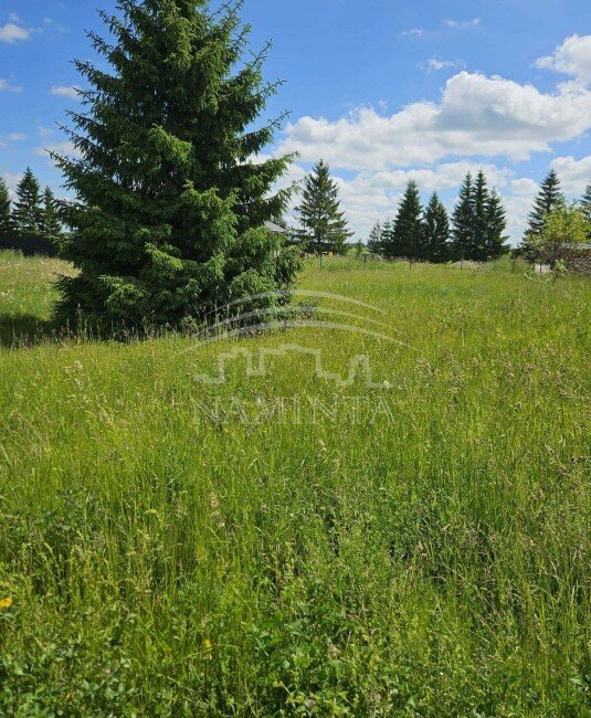 Sklypas Kretingos rajono sav., Rubuliuose – nuotrauka 4