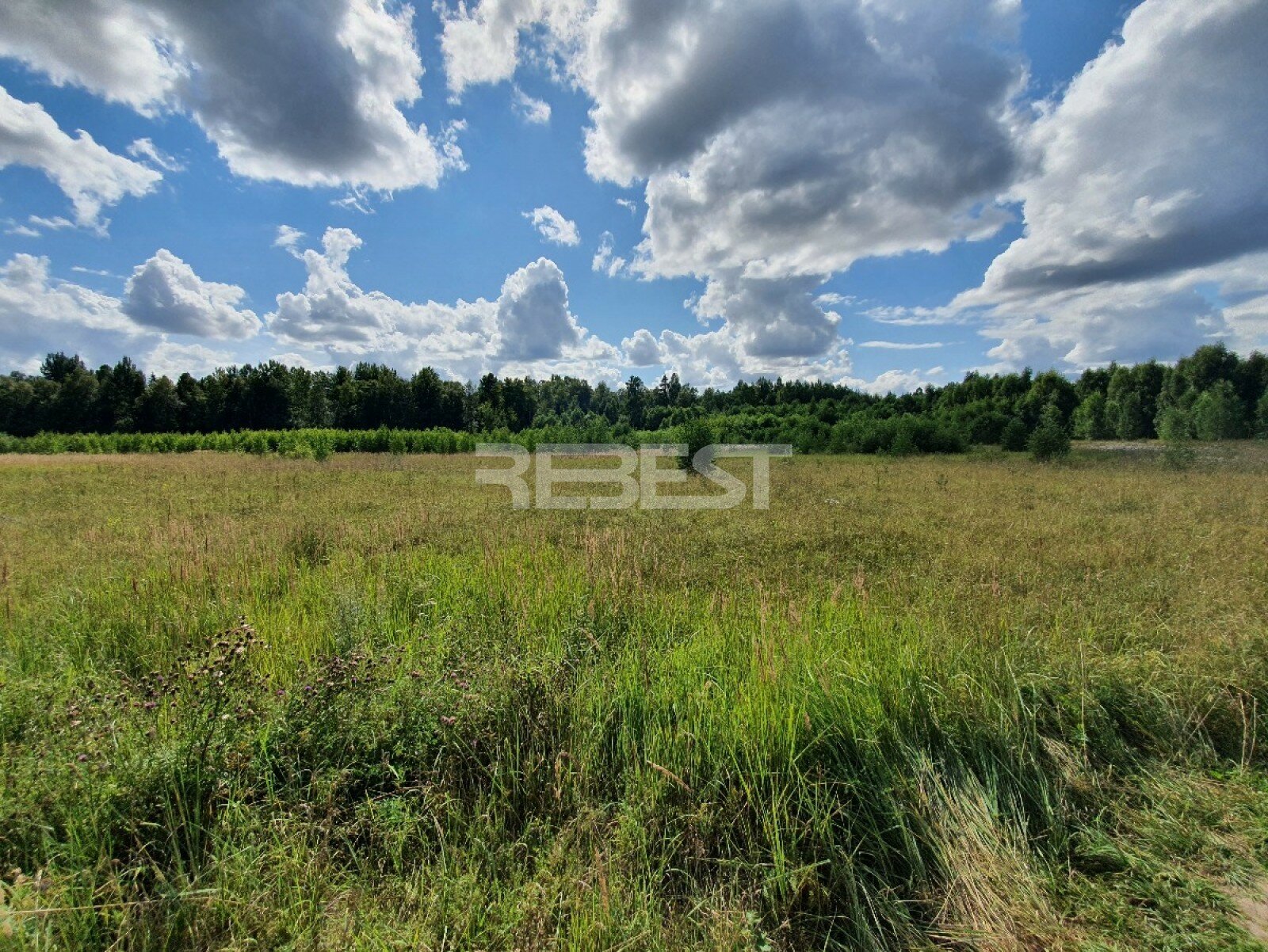 Sklypas Šiaulių rajono sav., Šilėnai (Kairių sen.) – nuotrauka 6