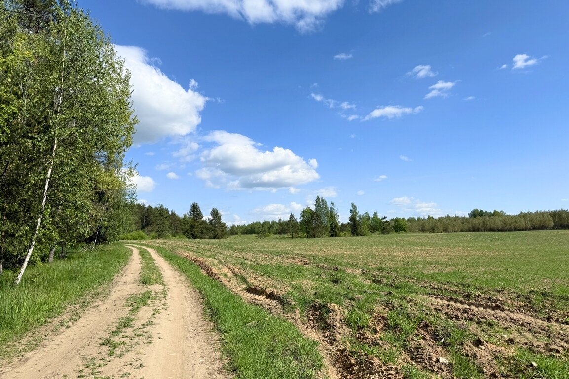 Sklypas Trakų rajono sav., Vytautavoje – nuotrauka 5