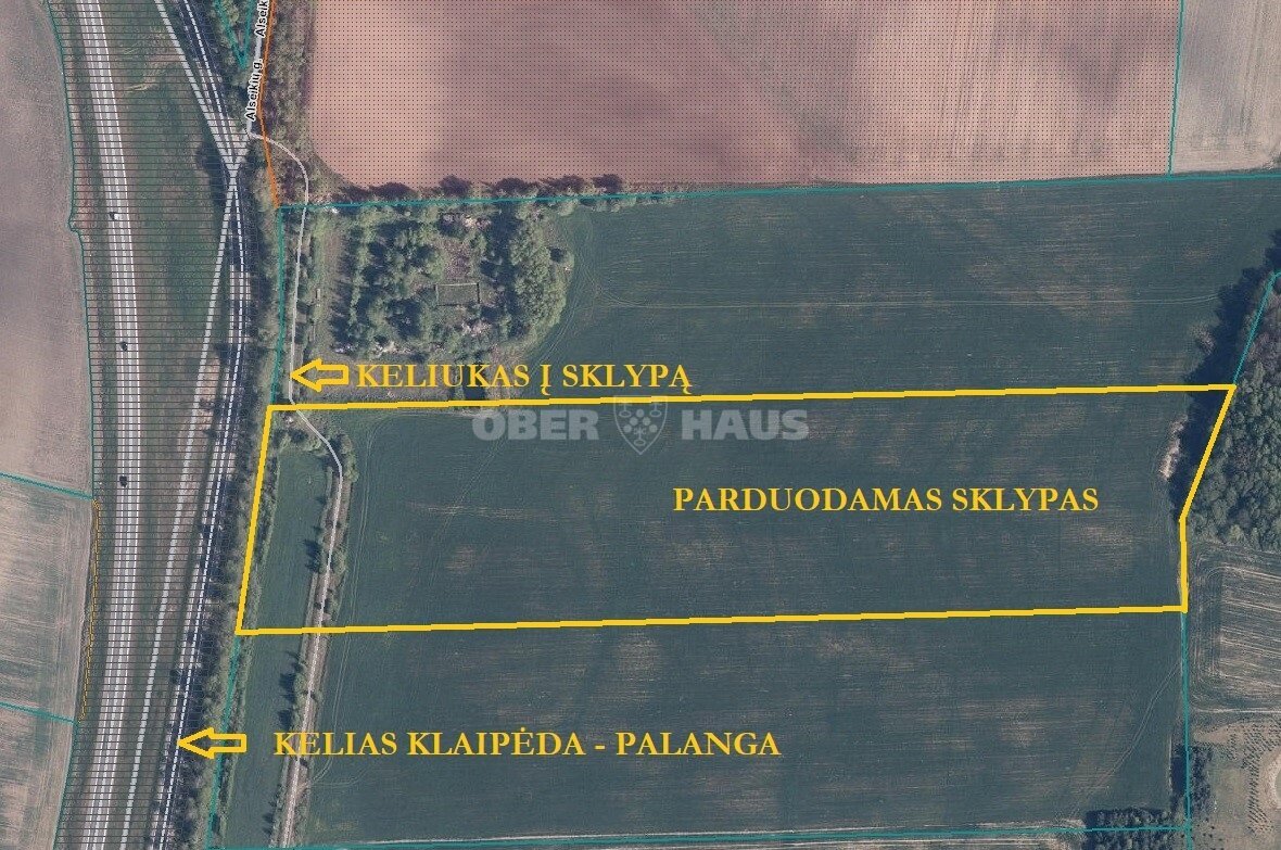Sklypas Klaipėdos rajono sav., Peskojuose – nuotrauka 3