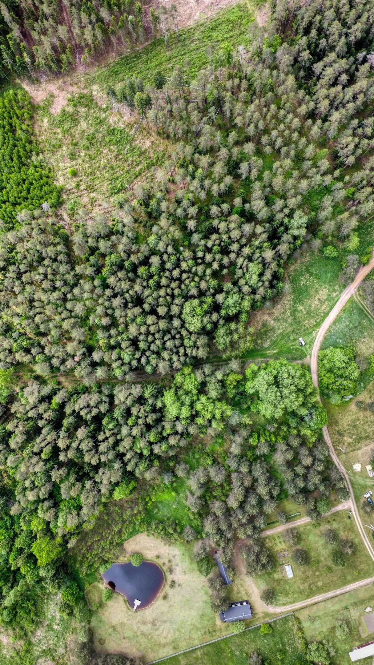 Sklypas Trakų rajono sav., Žvėryne, Užbalės g. – nuotrauka 3