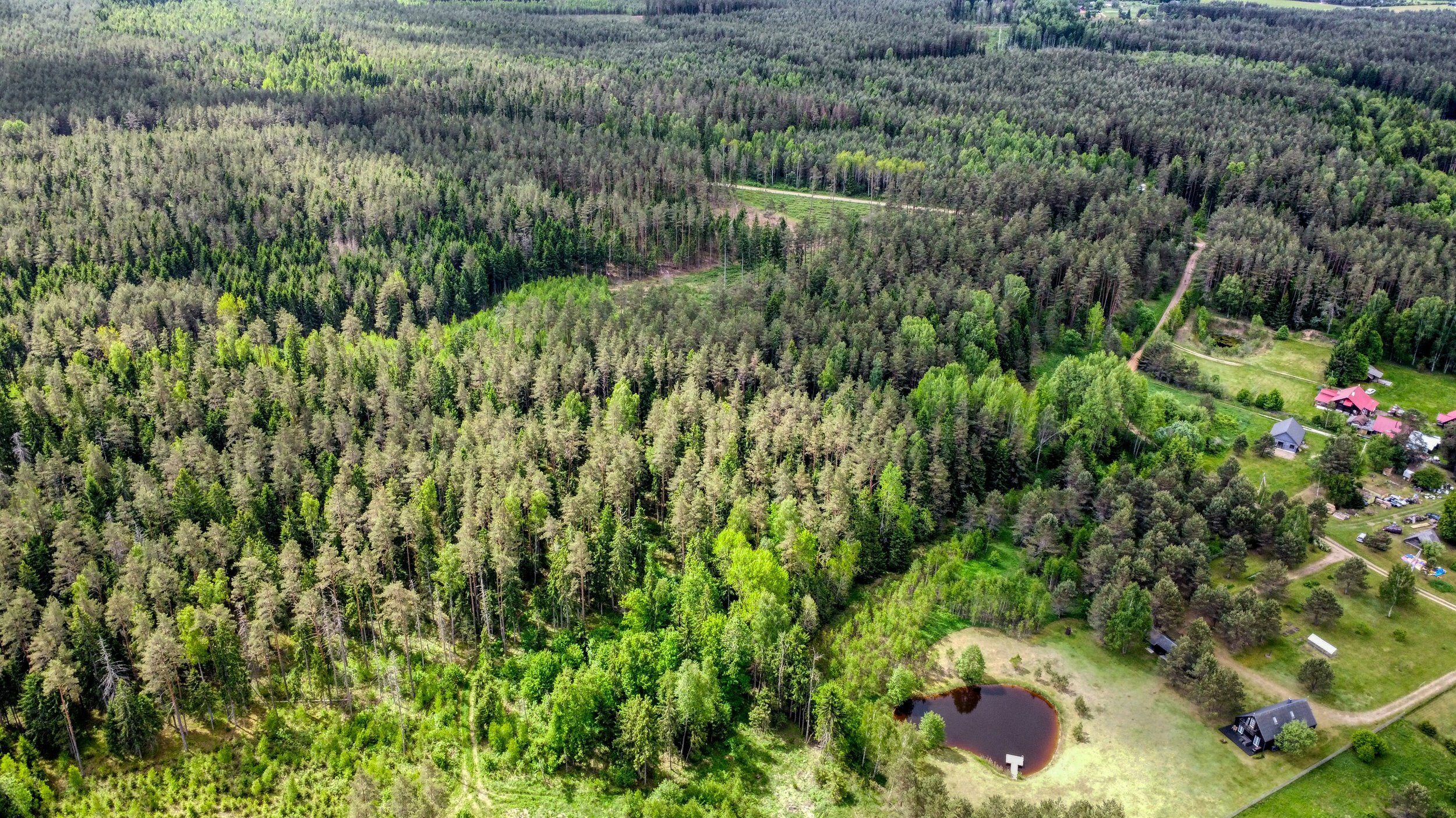 Sklypas Trakų rajono sav., Žvėryne, Užbalės g. – nuotrauka 4