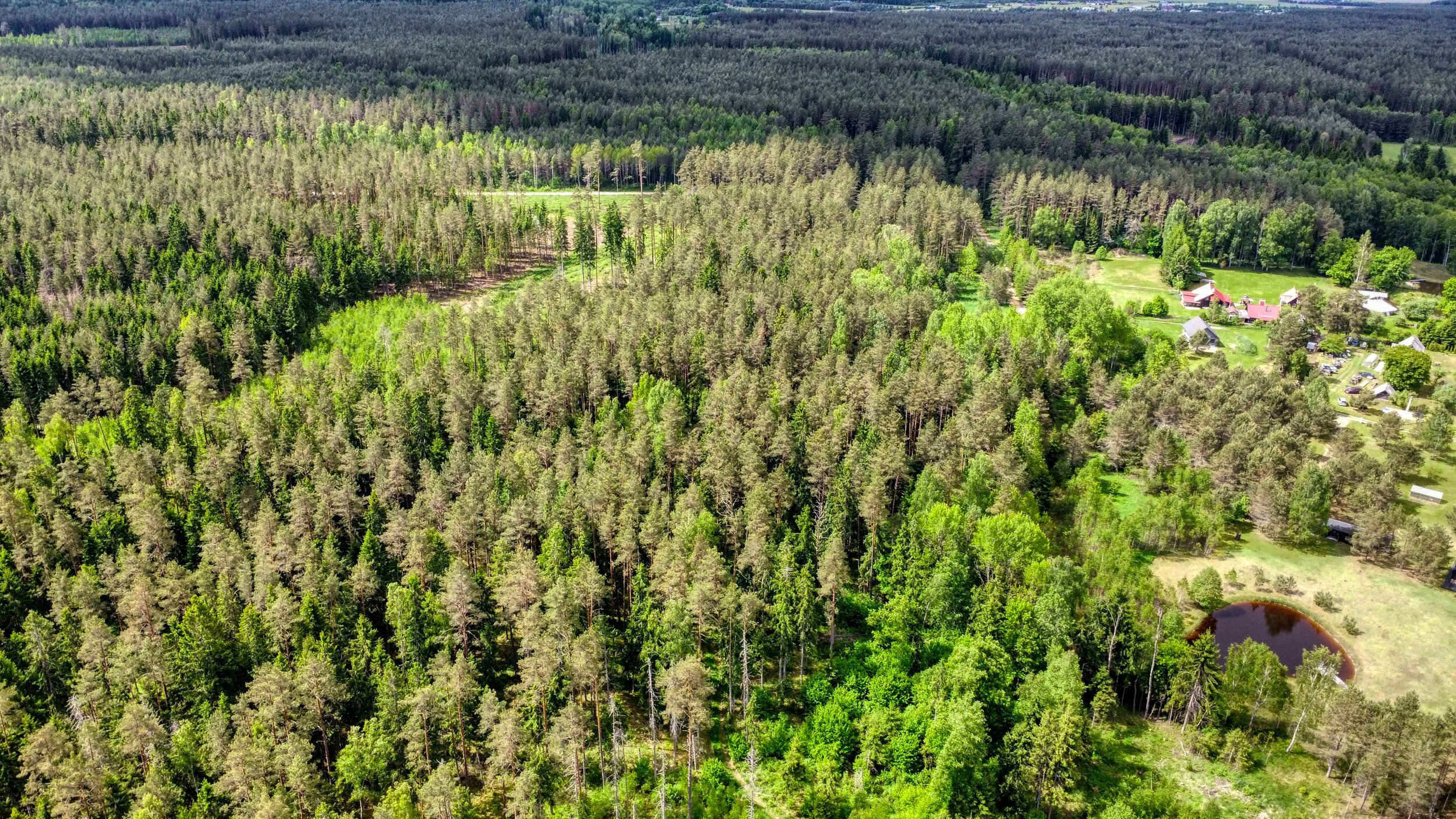 Sklypas Trakų rajono sav., Žvėryne, Užbalės g. – nuotrauka 6