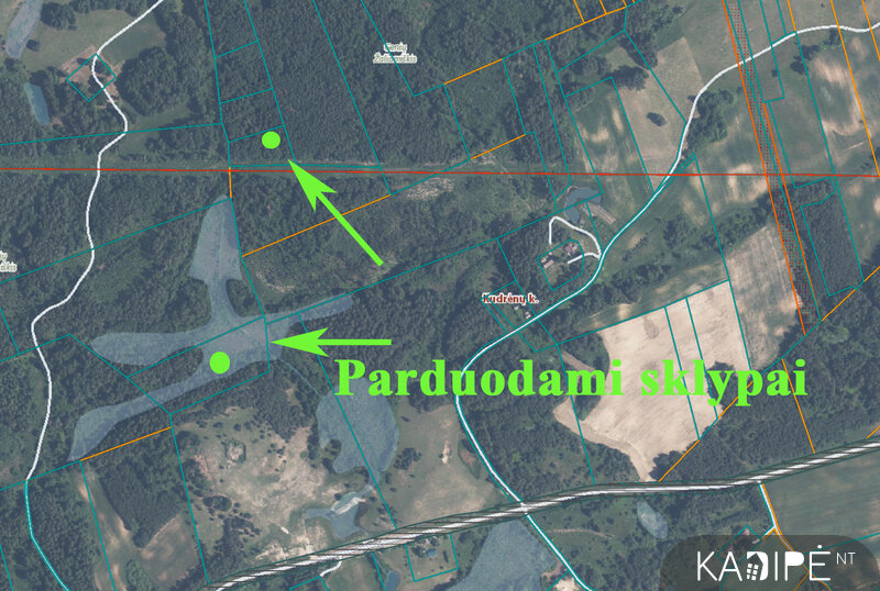 Sklypas Varėnos rajono sav., Vilkiautinyje – nuotrauka 4