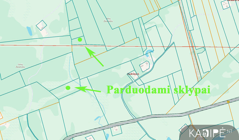 Sklypas Varėnos rajono sav., Vilkiautinyje – nuotrauka 6