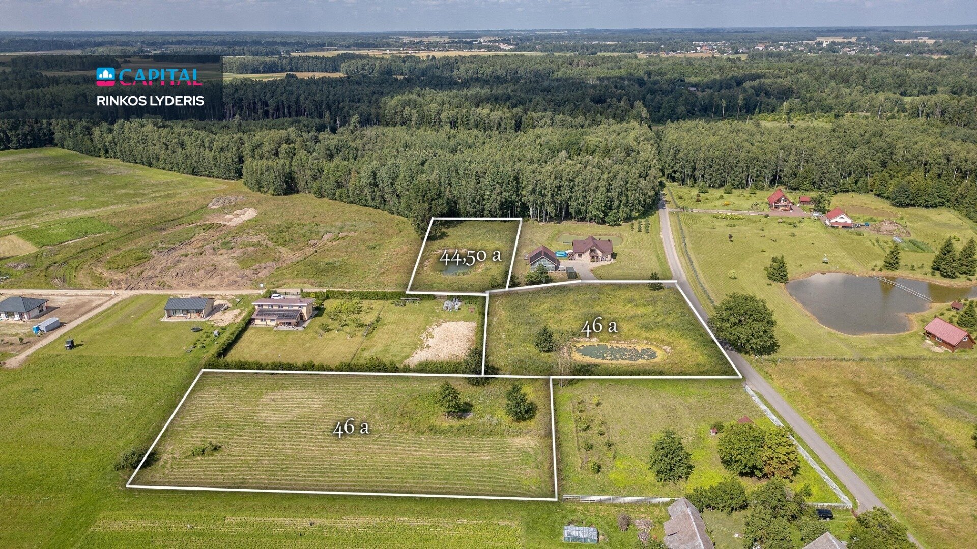 Sklypas Širvintų rajono sav., Dailidžionyse – nuotrauka 3