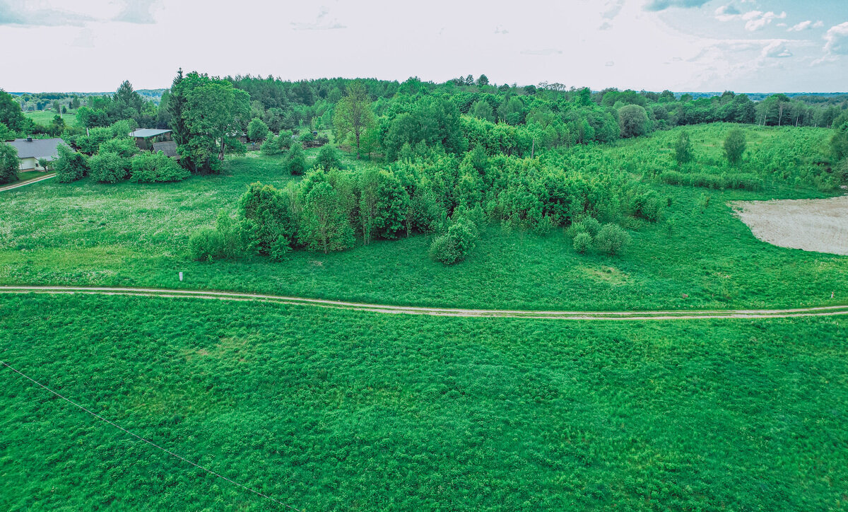 Sklypas Molėtų rajono sav., Juškeliuose – nuotrauka 6