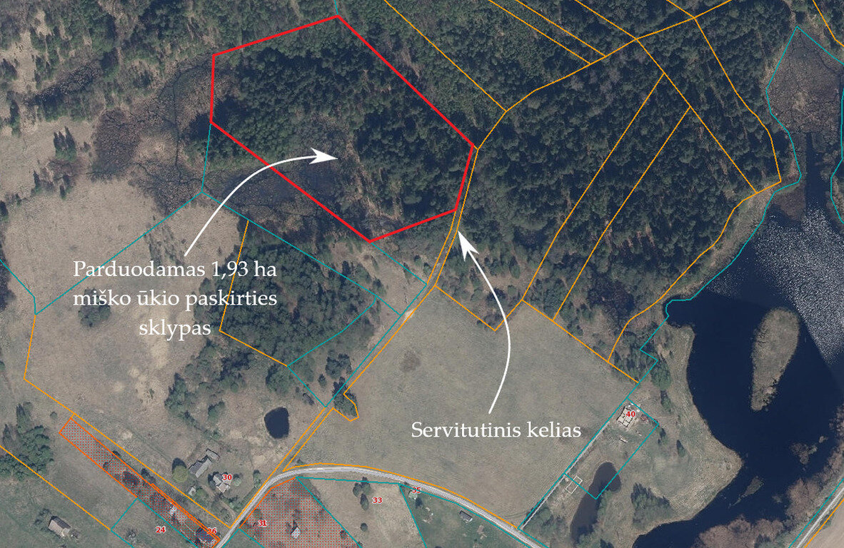 Sklypas Širvintų rajono sav., Žinduliuose – nuotrauka 5