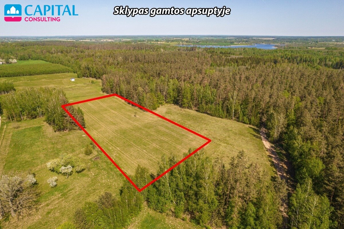 Sklypas Širvintų rajono sav., Kryžiauka I – nuotrauka 3