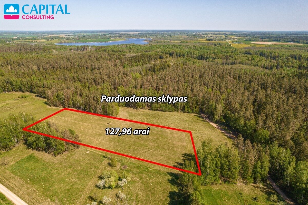 Sklypas Širvintų rajono sav., Kryžiauka I – nuotrauka 4