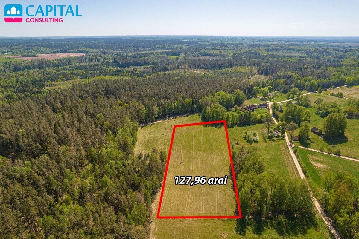 Sklypas Širvintų rajono sav., Kryžiauka I – nuotrauka 6