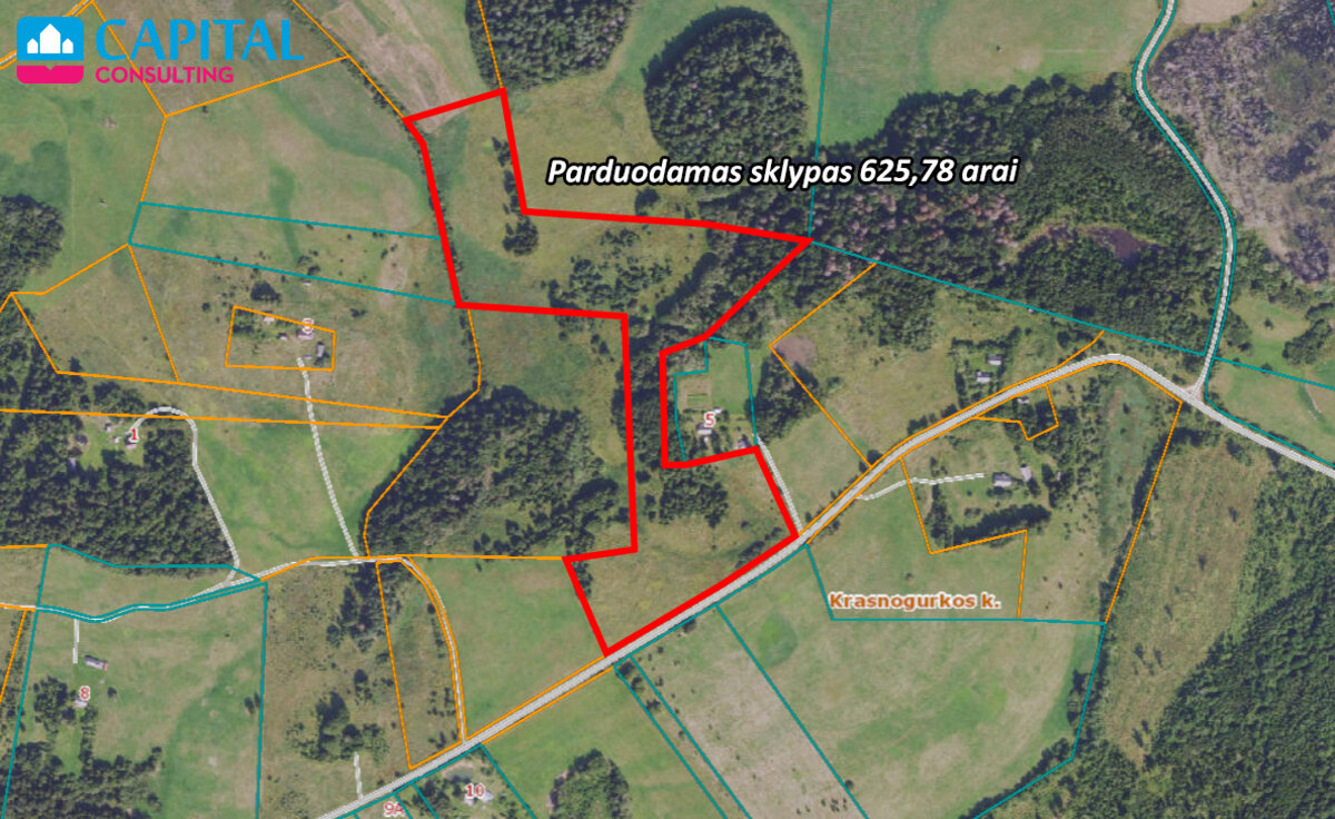 Sklypas Molėtų rajono sav., Kreiviškiuose – nuotrauka 5