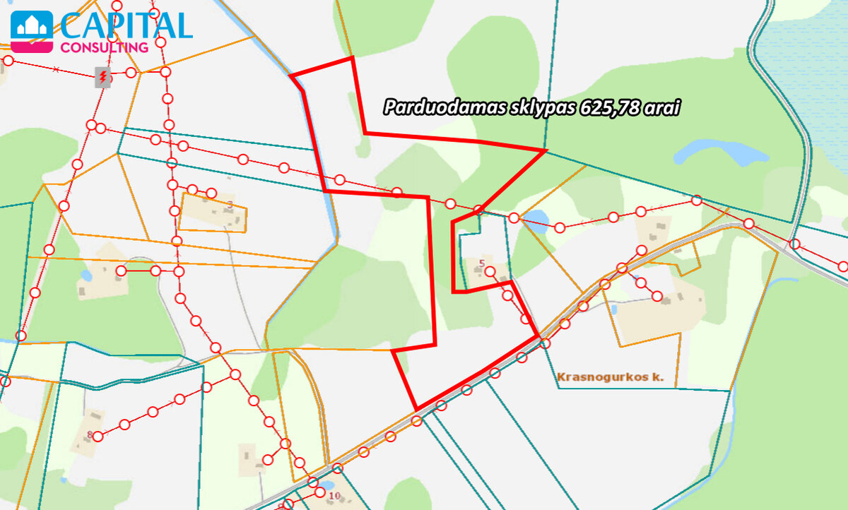 Sklypas Molėtų rajono sav., Kreiviškiuose – nuotrauka 6