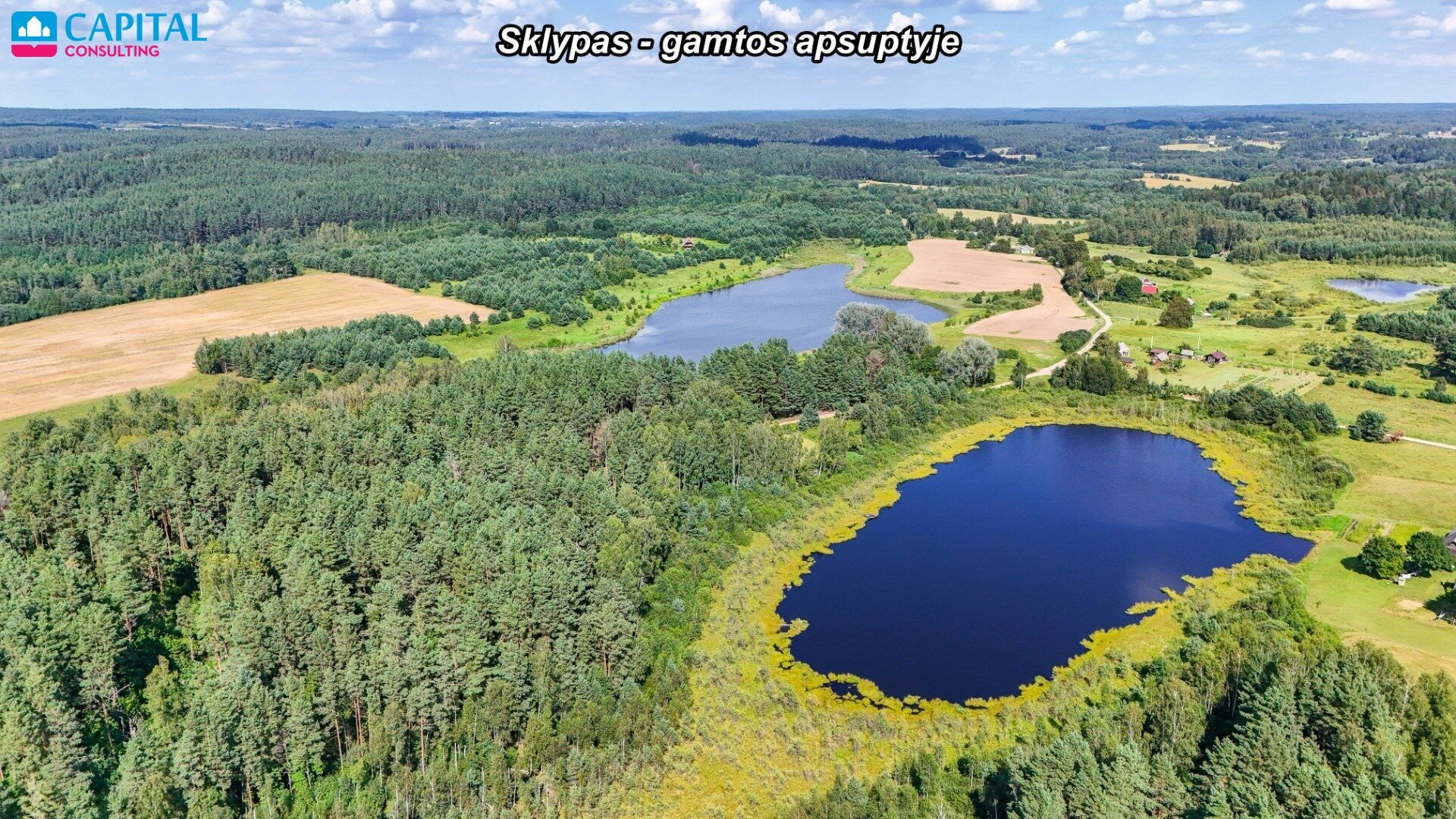 Sklypas Trakų rajono sav., Gudžionyse – nuotrauka 5