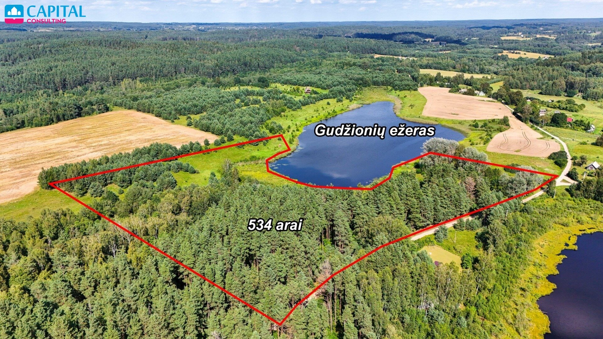 Sklypas Trakų rajono sav., Gudžionyse – nuotrauka 6