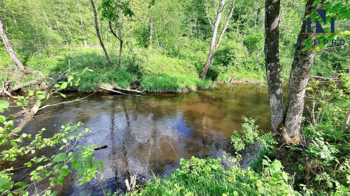 Sklypas Širvintų rajono sav., Navasiolkai II – nuotrauka 1