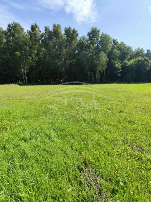 Sklypas Klaipėdos rajono sav., Agluonėnuose, Atgimimo g. – nuotrauka 4