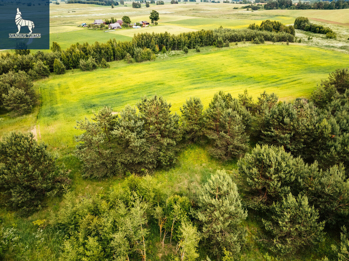 Sklypas Trakų rajono sav., Staškūniškėse – nuotrauka 6