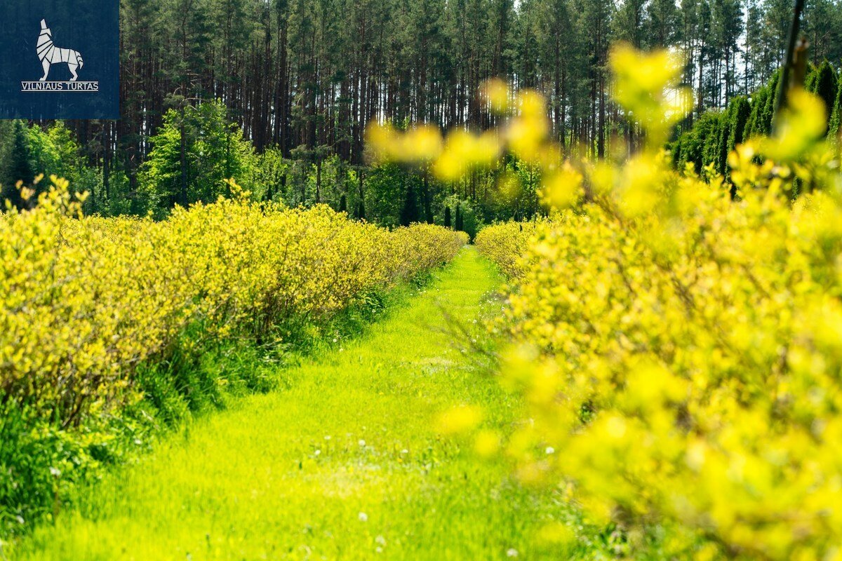 Sklypas Varėnos rajono sav., Dargužiuose – nuotrauka 5