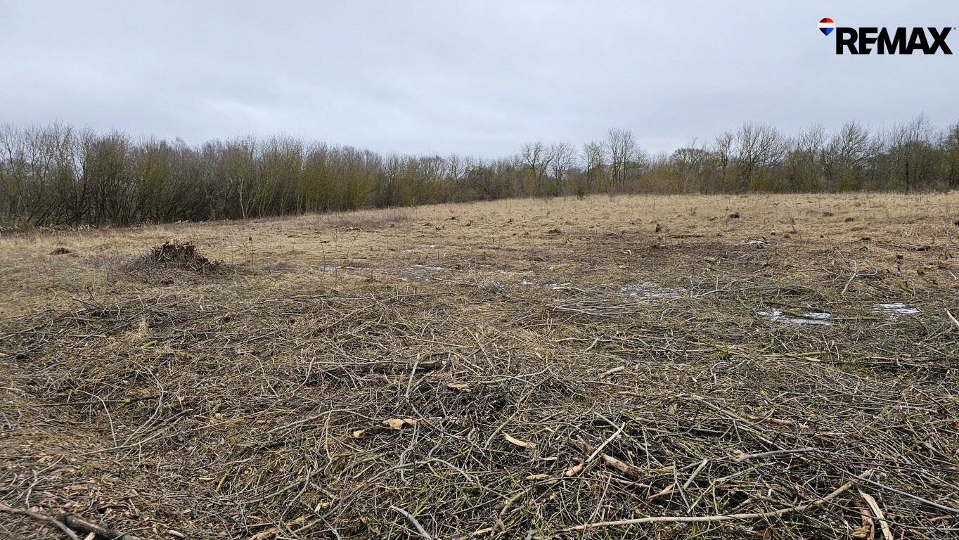 Land Panevėžys, Panevėžyje, J. Janonio g. – image 3