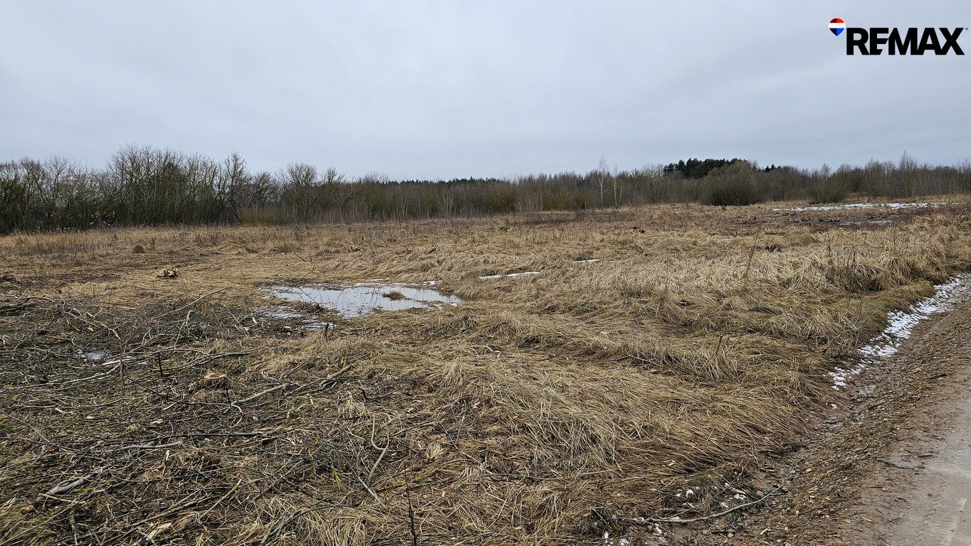 Land Panevėžys, Panevėžyje, J. Janonio g. – image 4