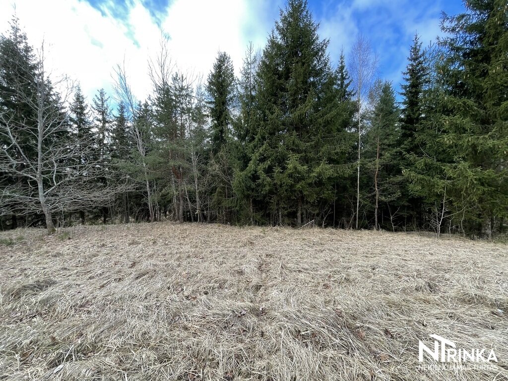 Sklypas Šiaulių rajono sav., Bubiuose, Gervėnų g. – nuotrauka 4