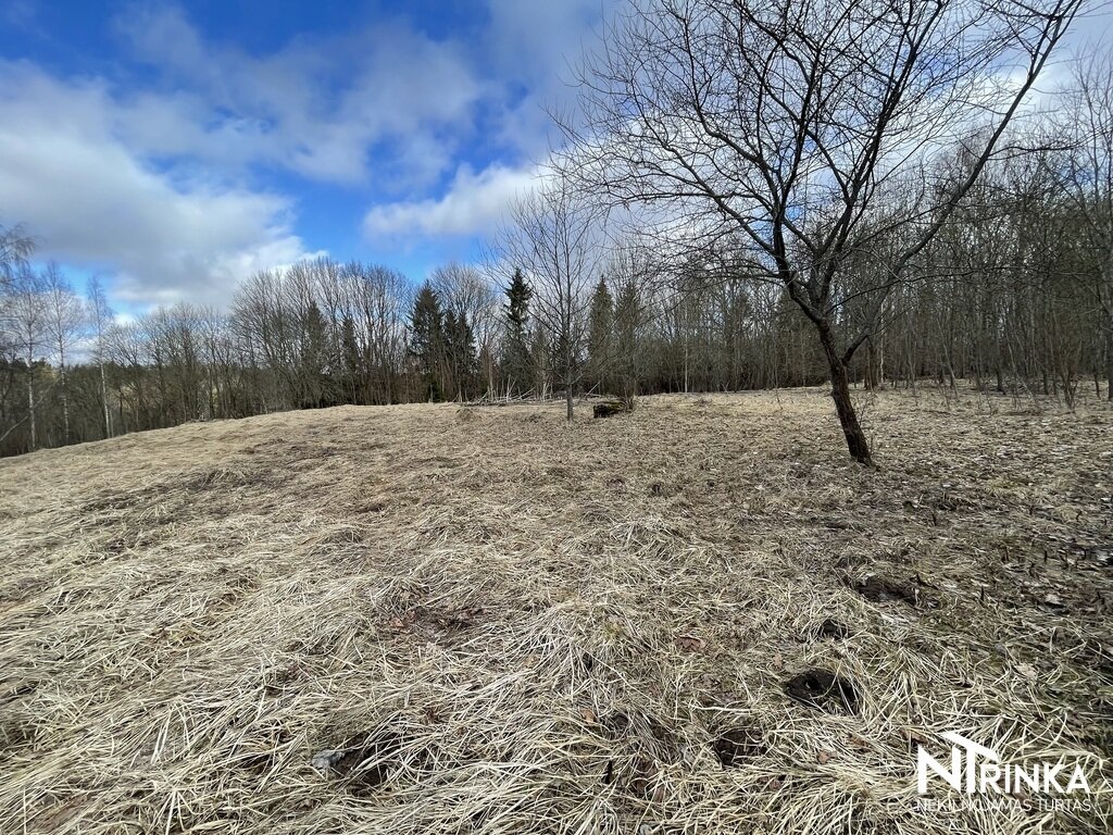 Sklypas Šiaulių rajono sav., Bubiuose, Gervėnų g. – nuotrauka 5