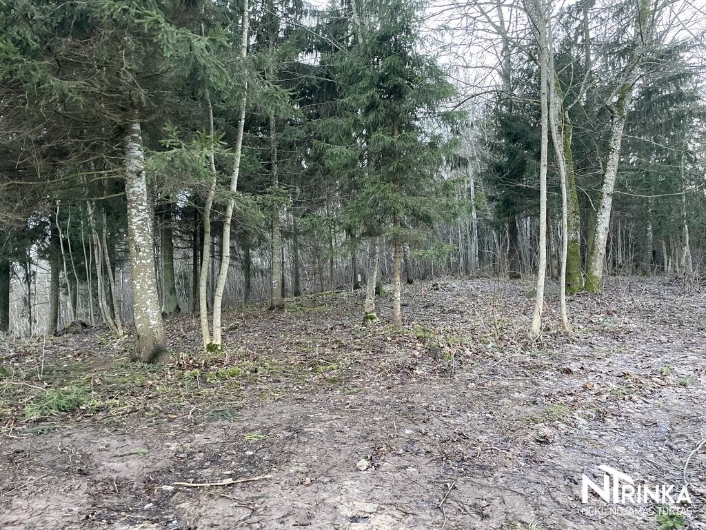 Sklypas Šiaulių rajono sav., Bubiuose, Užtvankos g. – nuotrauka 6