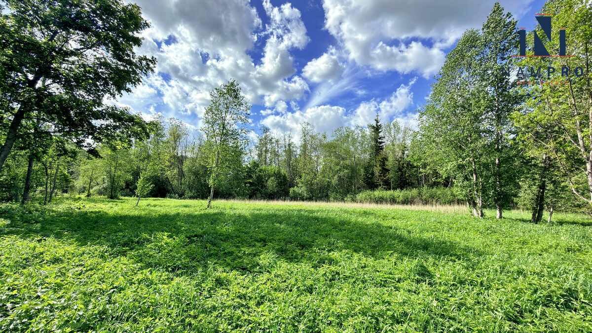 Sklypas Širvintų rajono sav., Navasiolkai II – nuotrauka 3