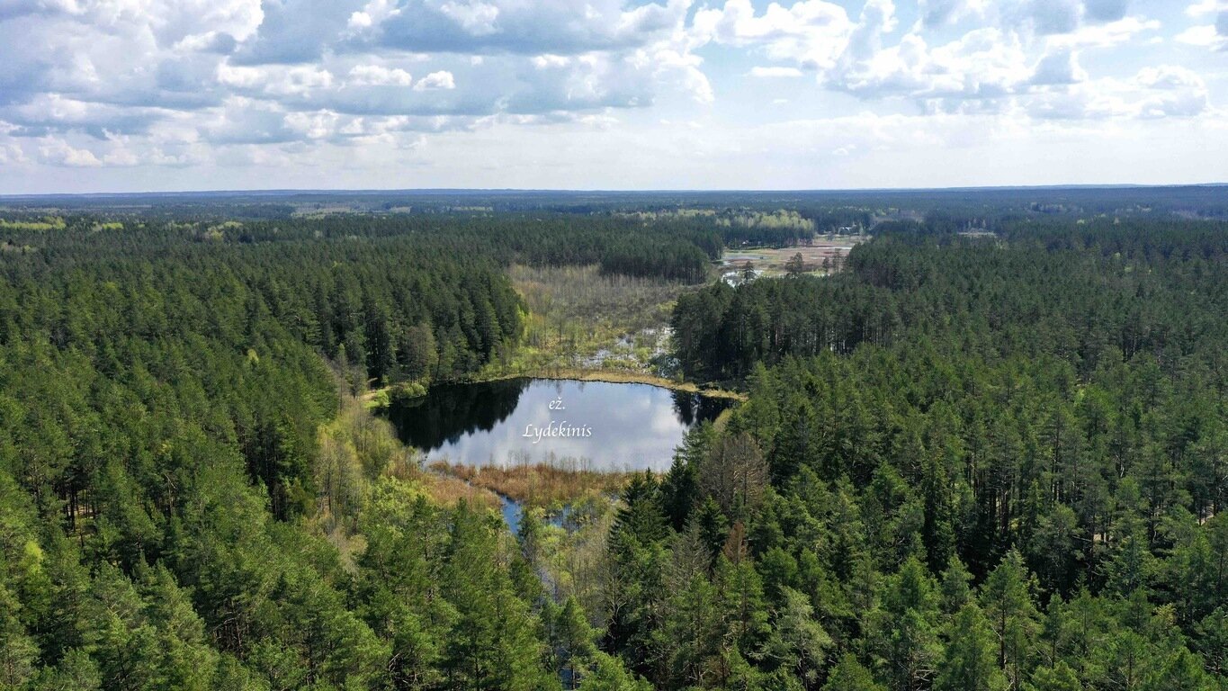 Sklypas Vilniaus rajono sav., Šeškučiuose – nuotrauka 3