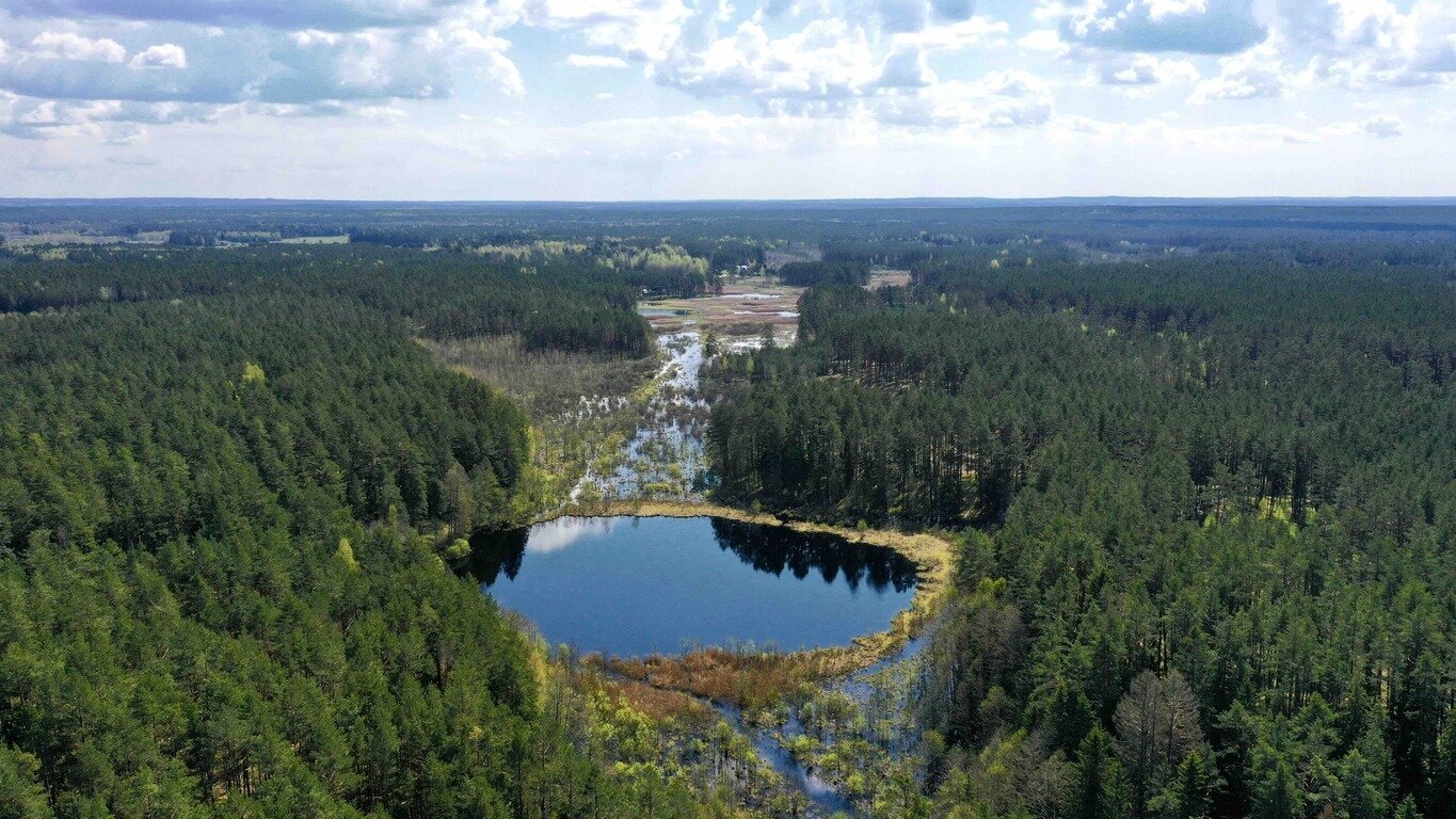 Sklypas Vilniaus rajono sav., Šeškučiuose – nuotrauka 4