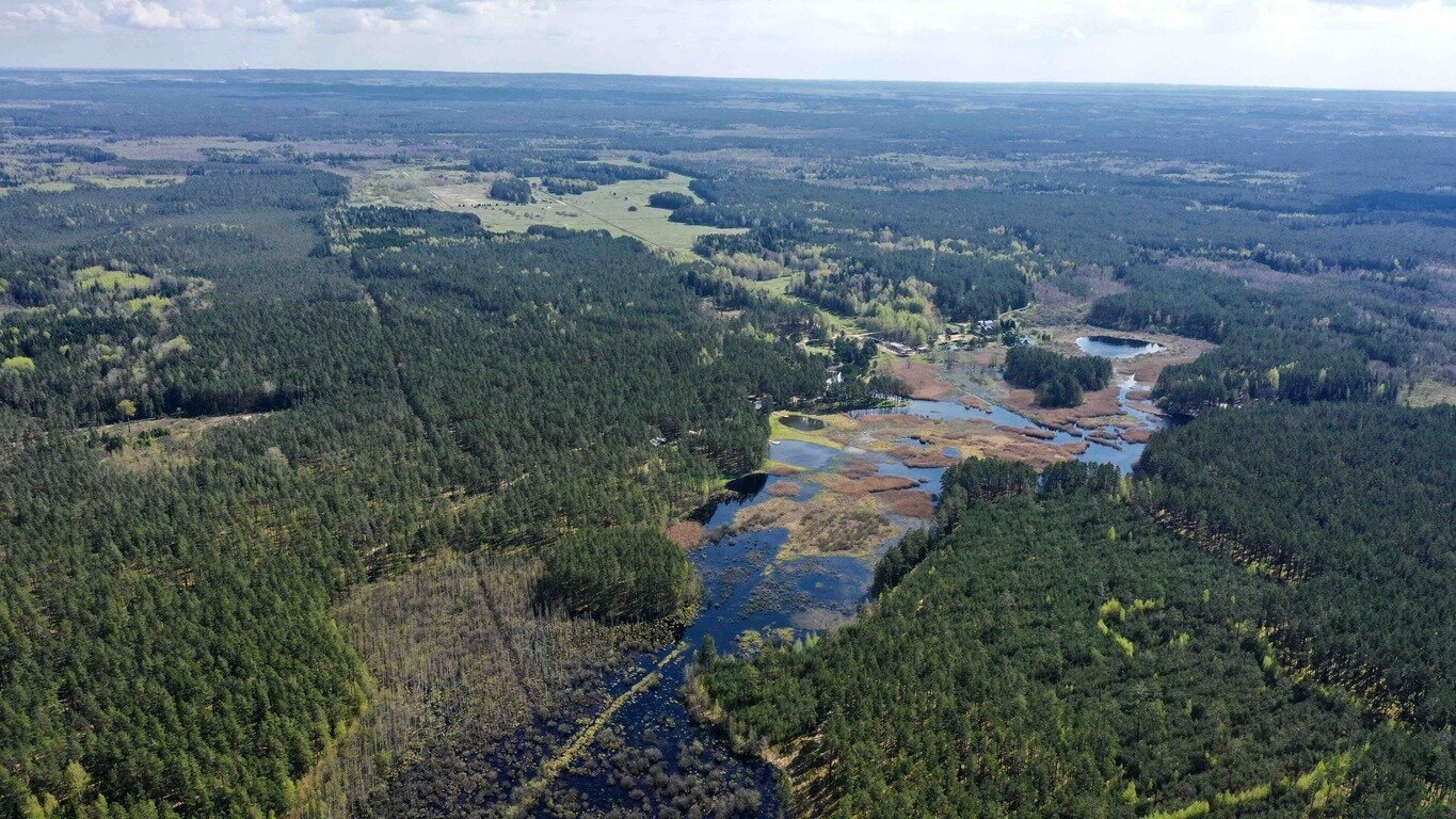 Sklypas Vilniaus rajono sav., Šeškučiuose – nuotrauka 6