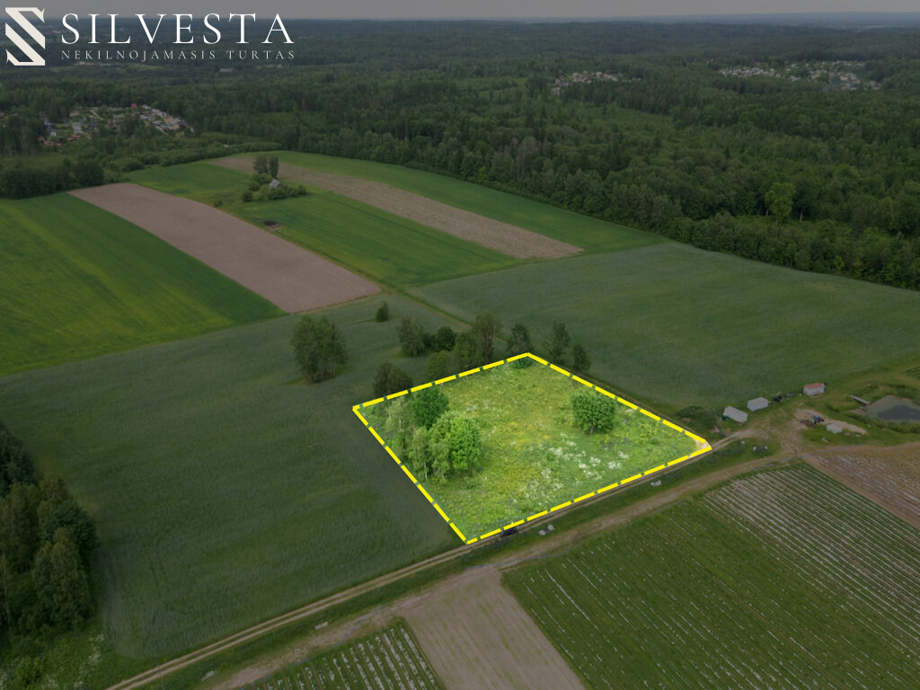 Sklypas Vilniaus rajono sav., Užuglobyje – nuotrauka 5