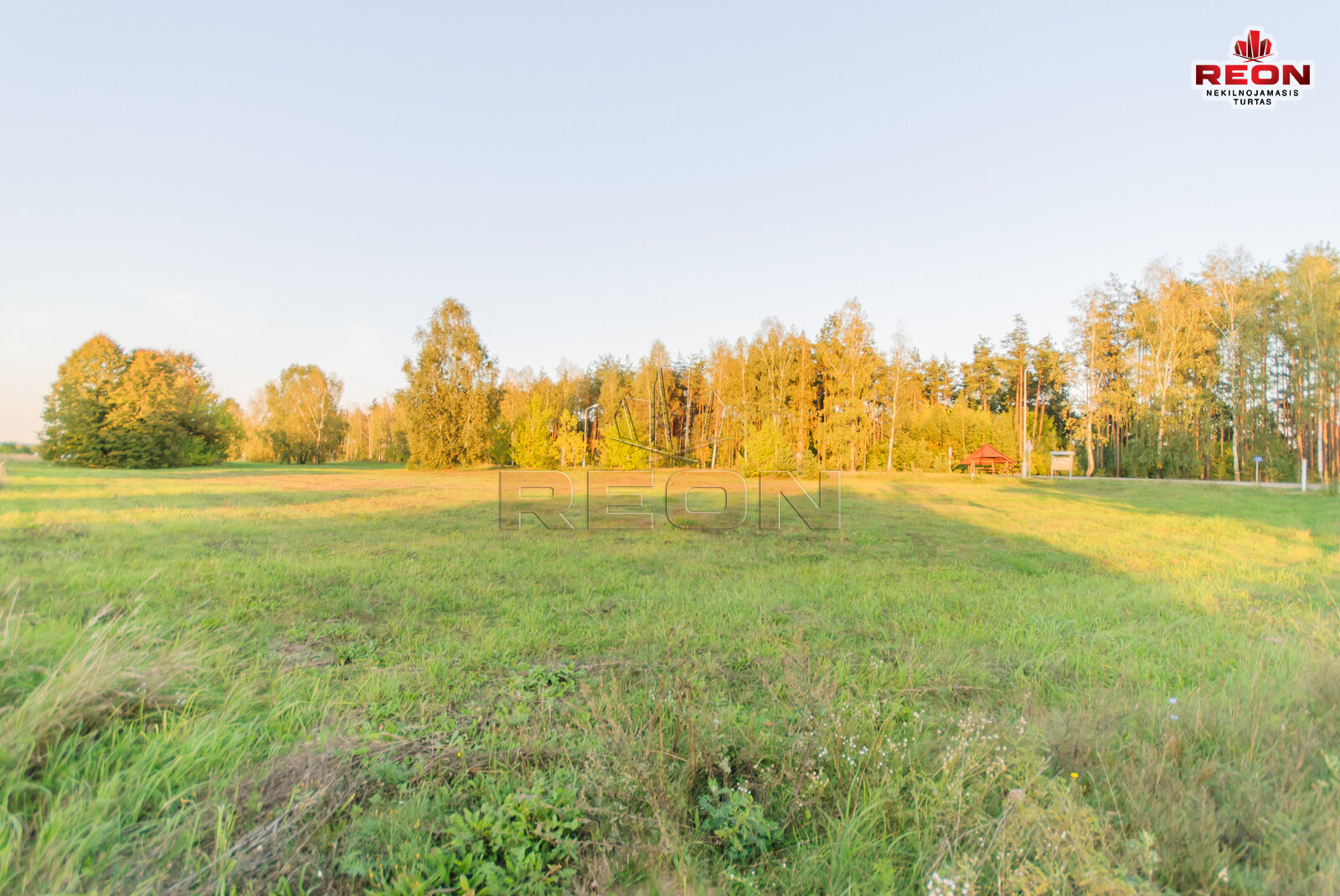 Sklypas Druskininkų sav., Gailiūnuose, Gailiūnų g. – nuotrauka 3