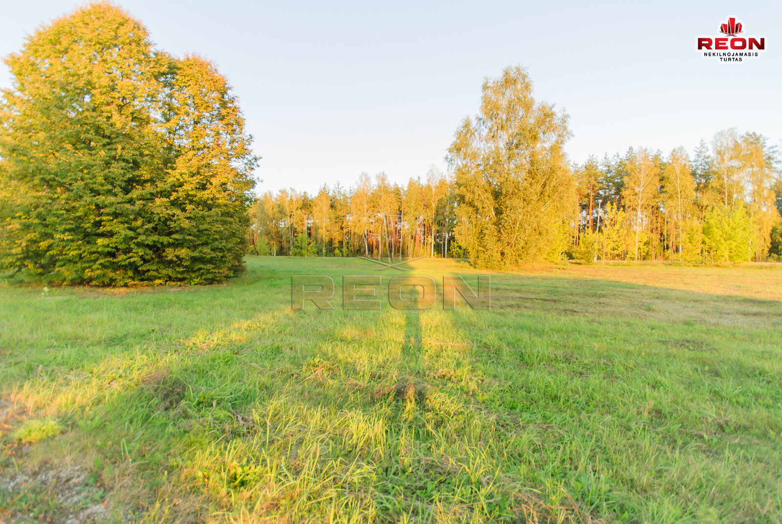 Land Druskininkų sav., Gailiūnuose, Gailiūnų g. – image 5